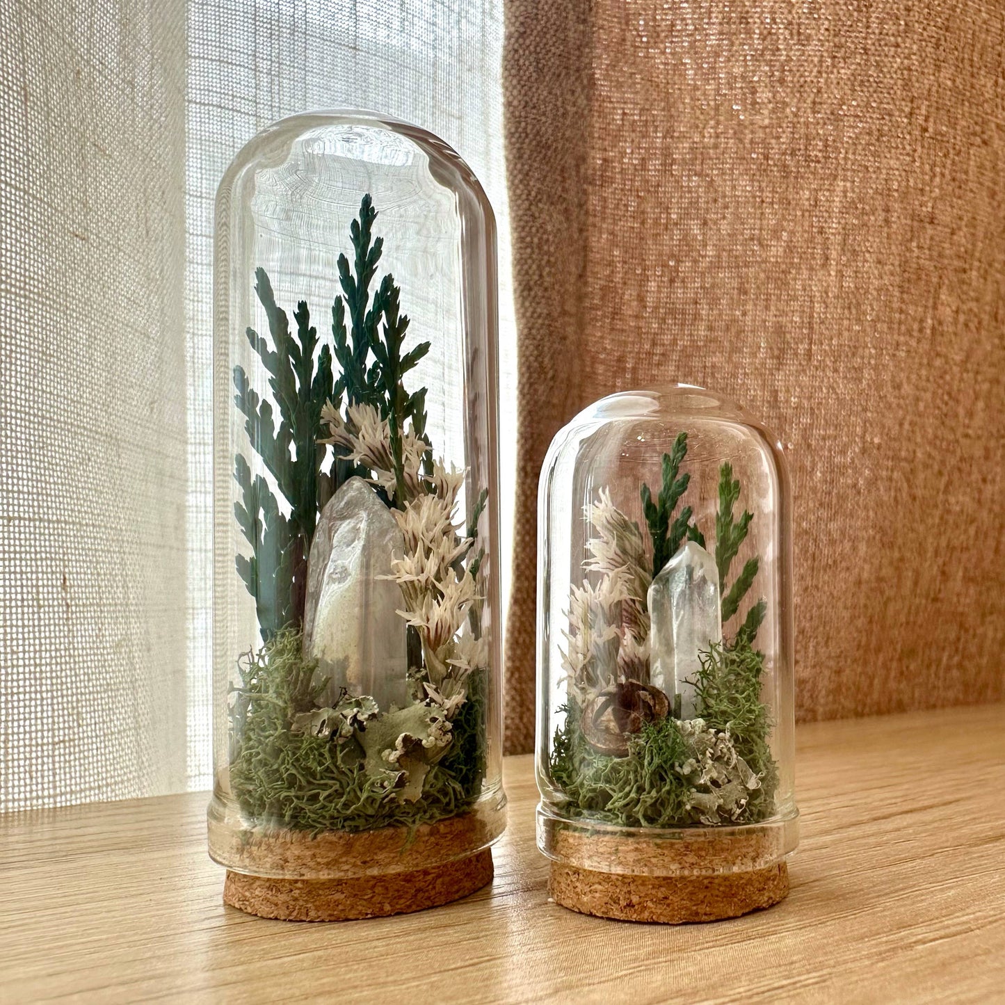 Moonlight Mini Crystal Fairy Terrarium Floral Glass Cloche