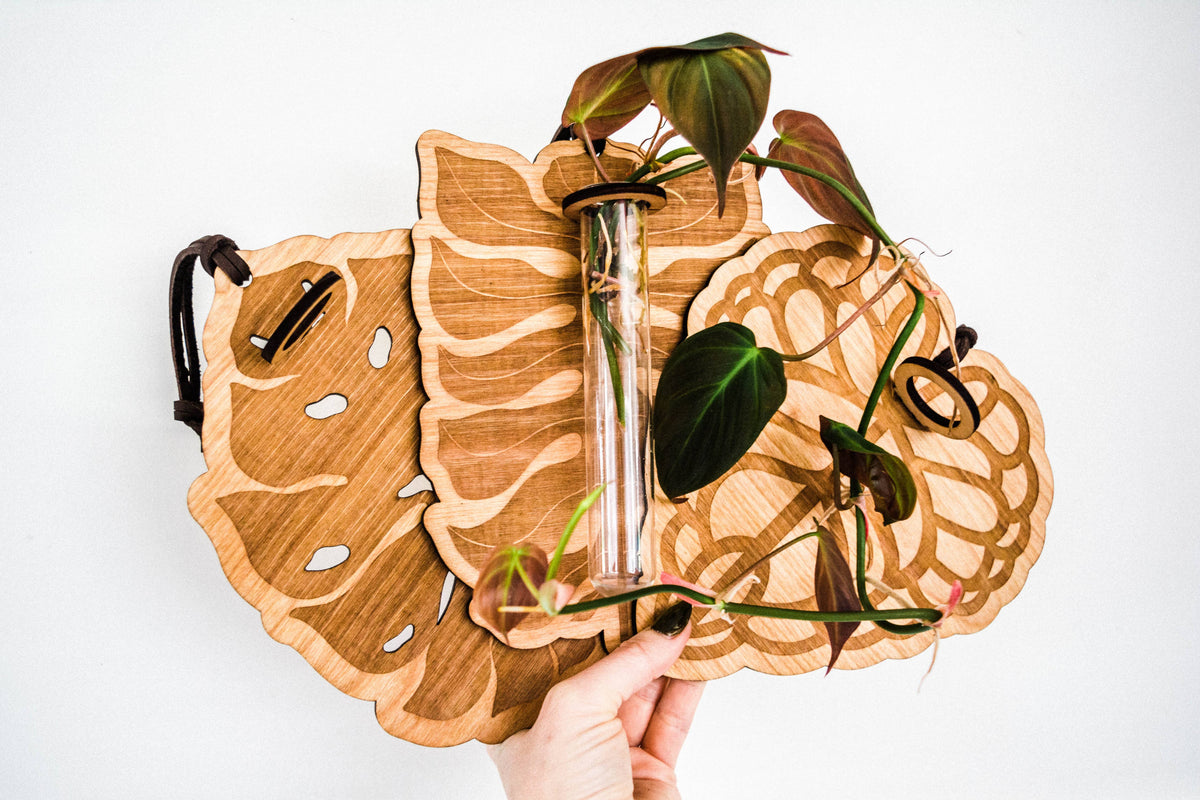 Philodendron Leaf Plant Hanging Planter Propagation Station