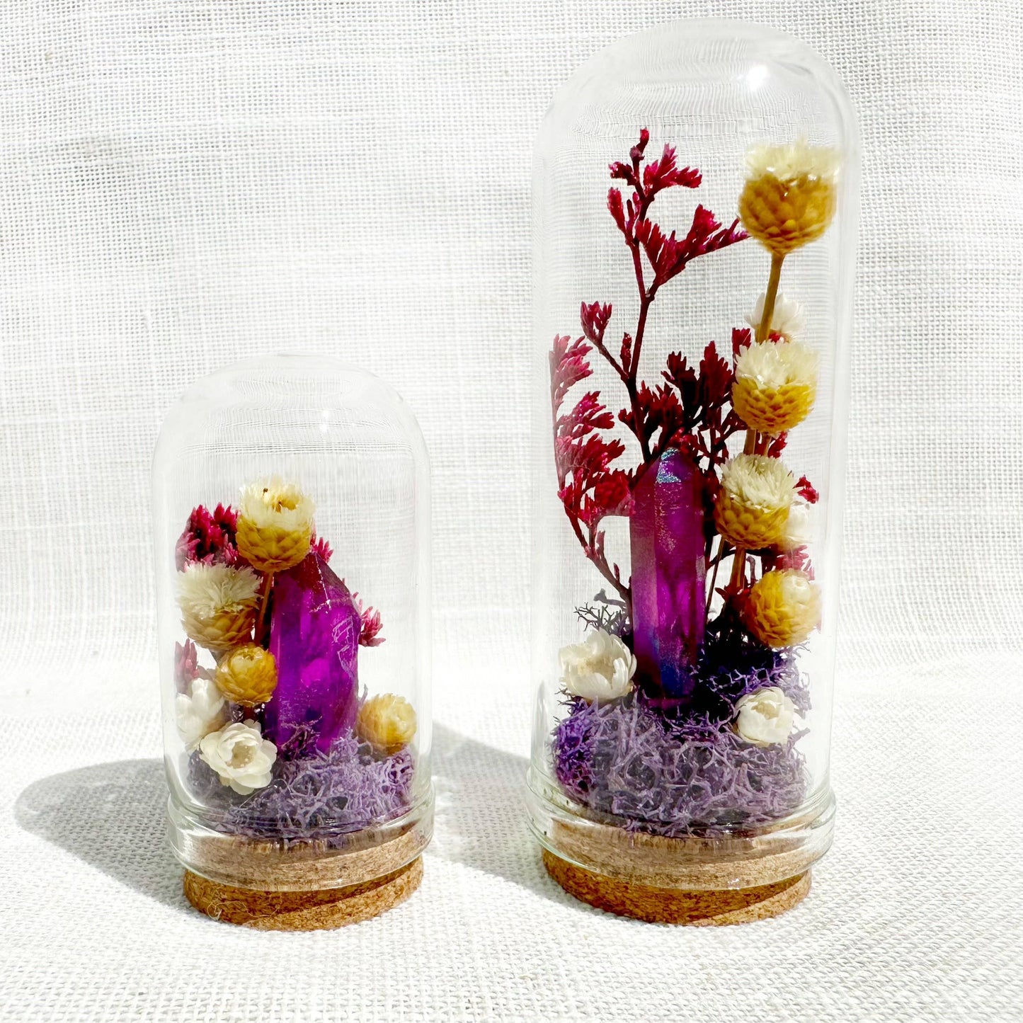 Crystal Fairy Garden Mix Mini Glass Cloche Terrariums