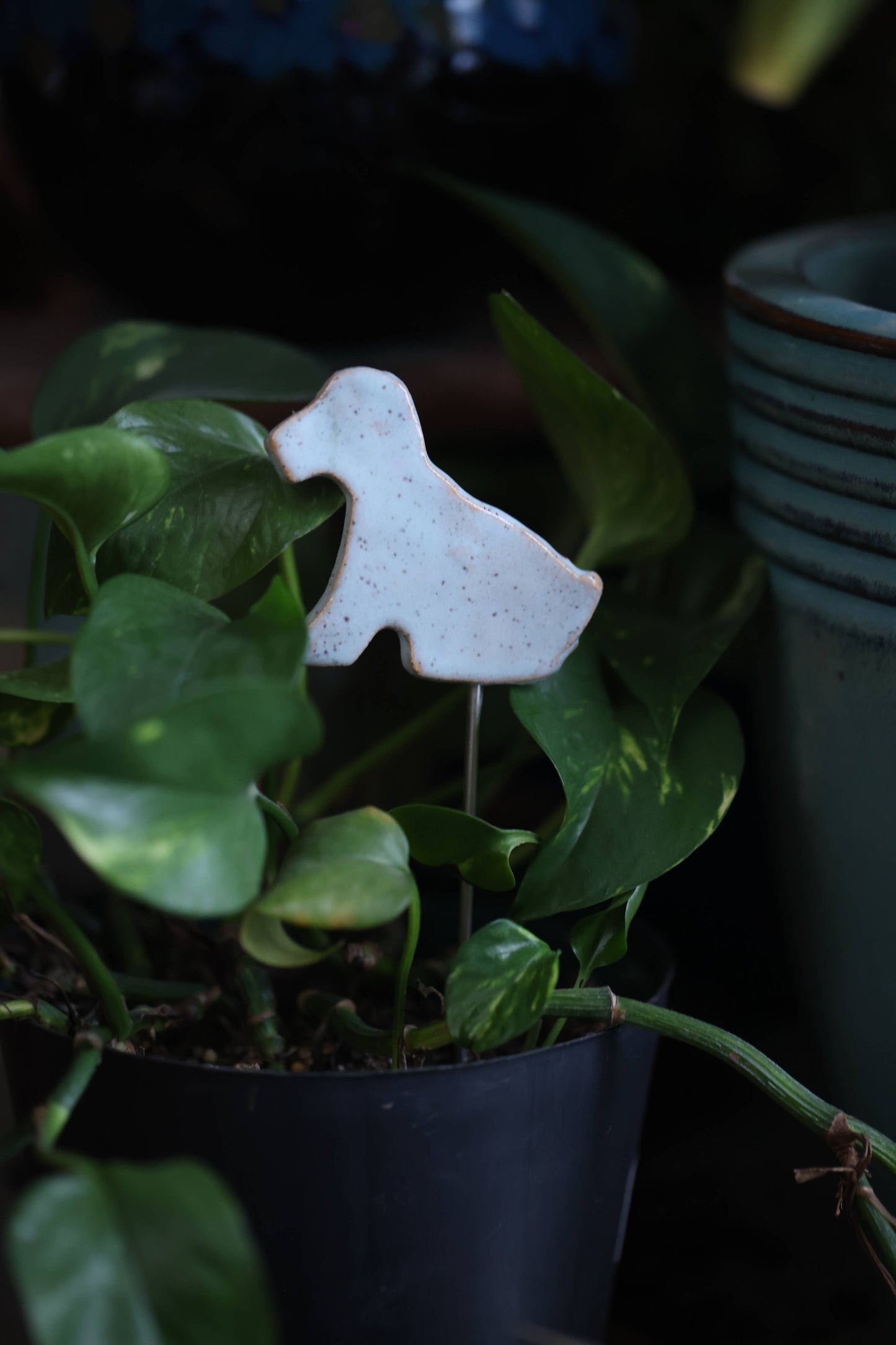 Plant Buddies - Puppy | Dog