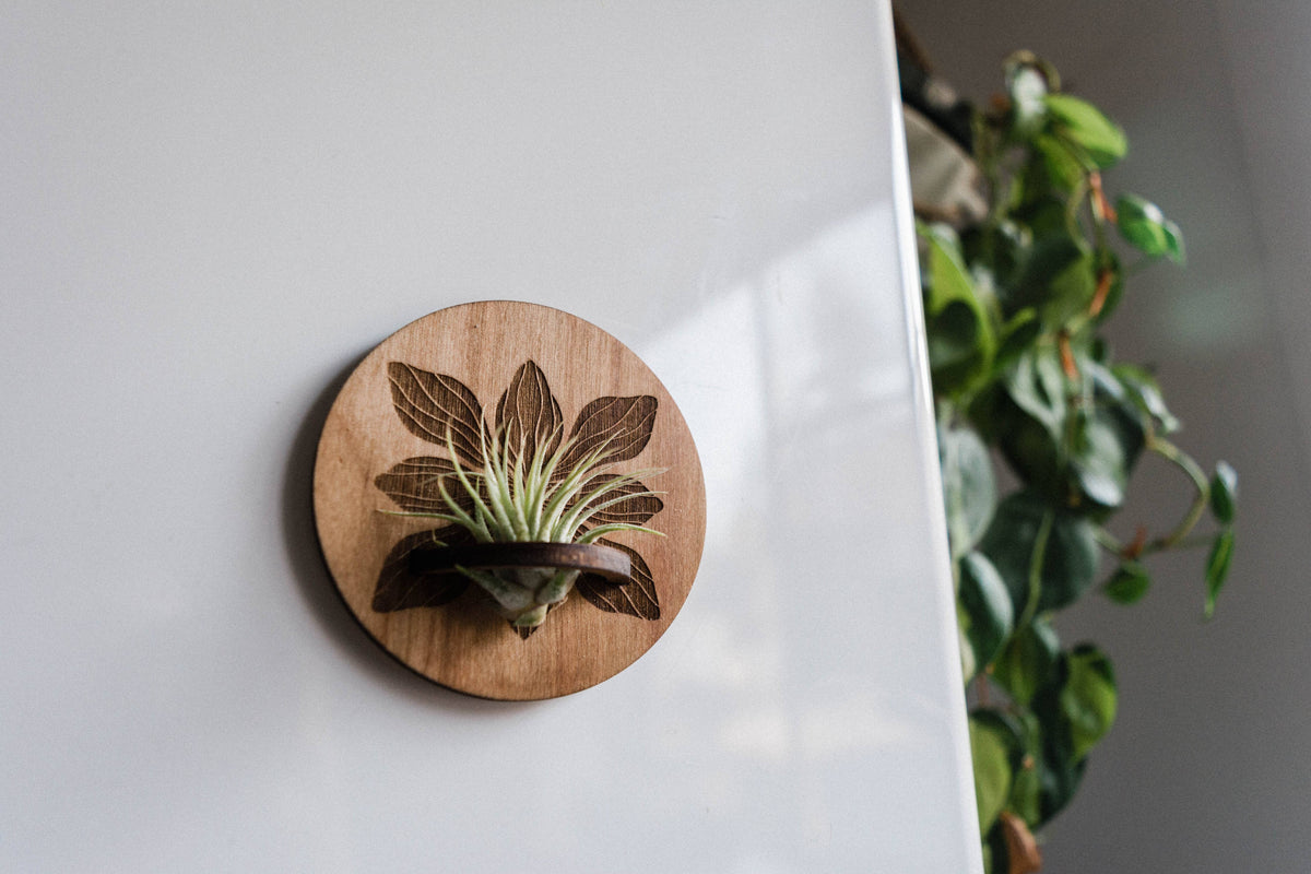 Art Deco Flower Airplant Holder Magnet Round