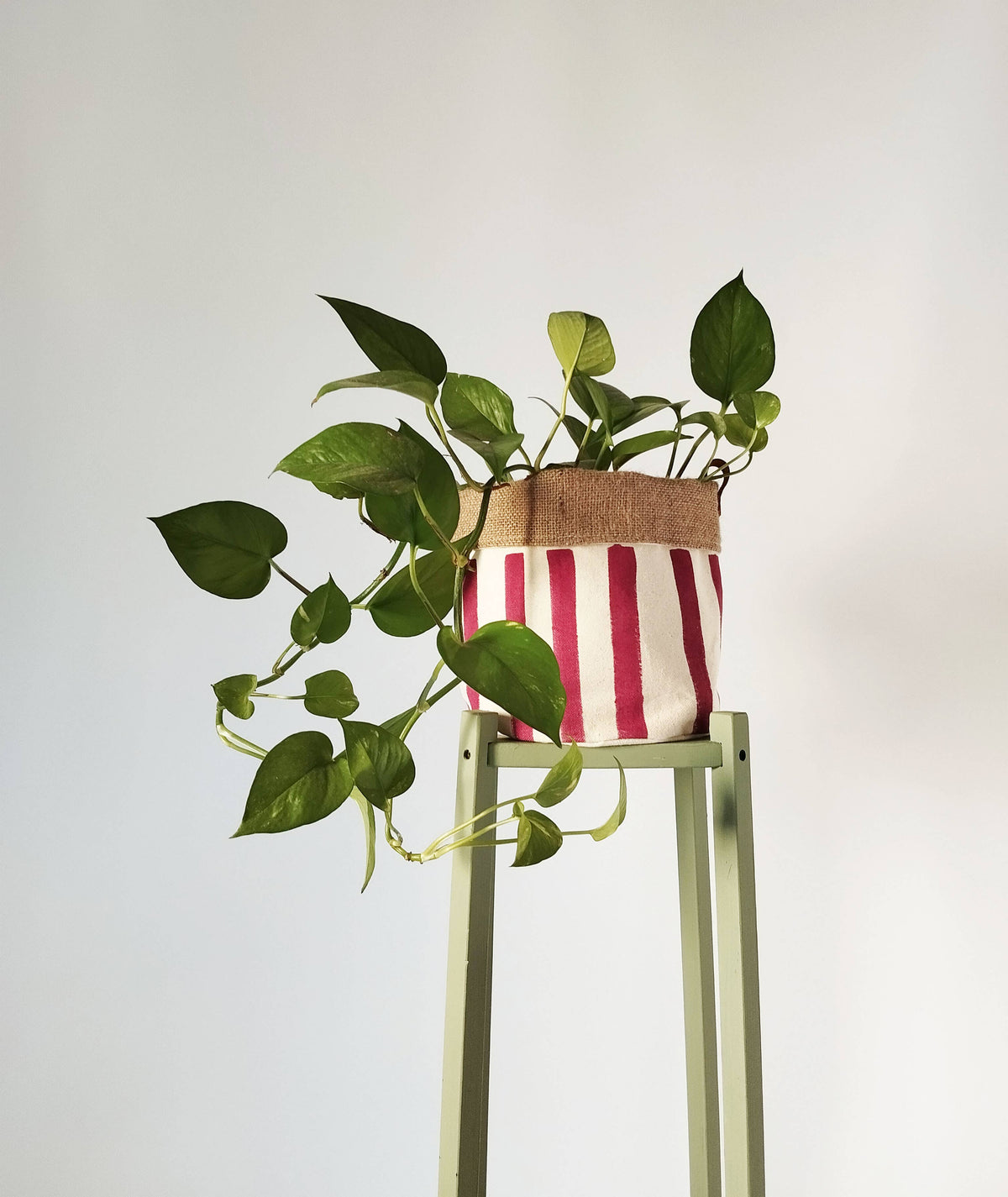 Medium Indoor Planter with Stripes