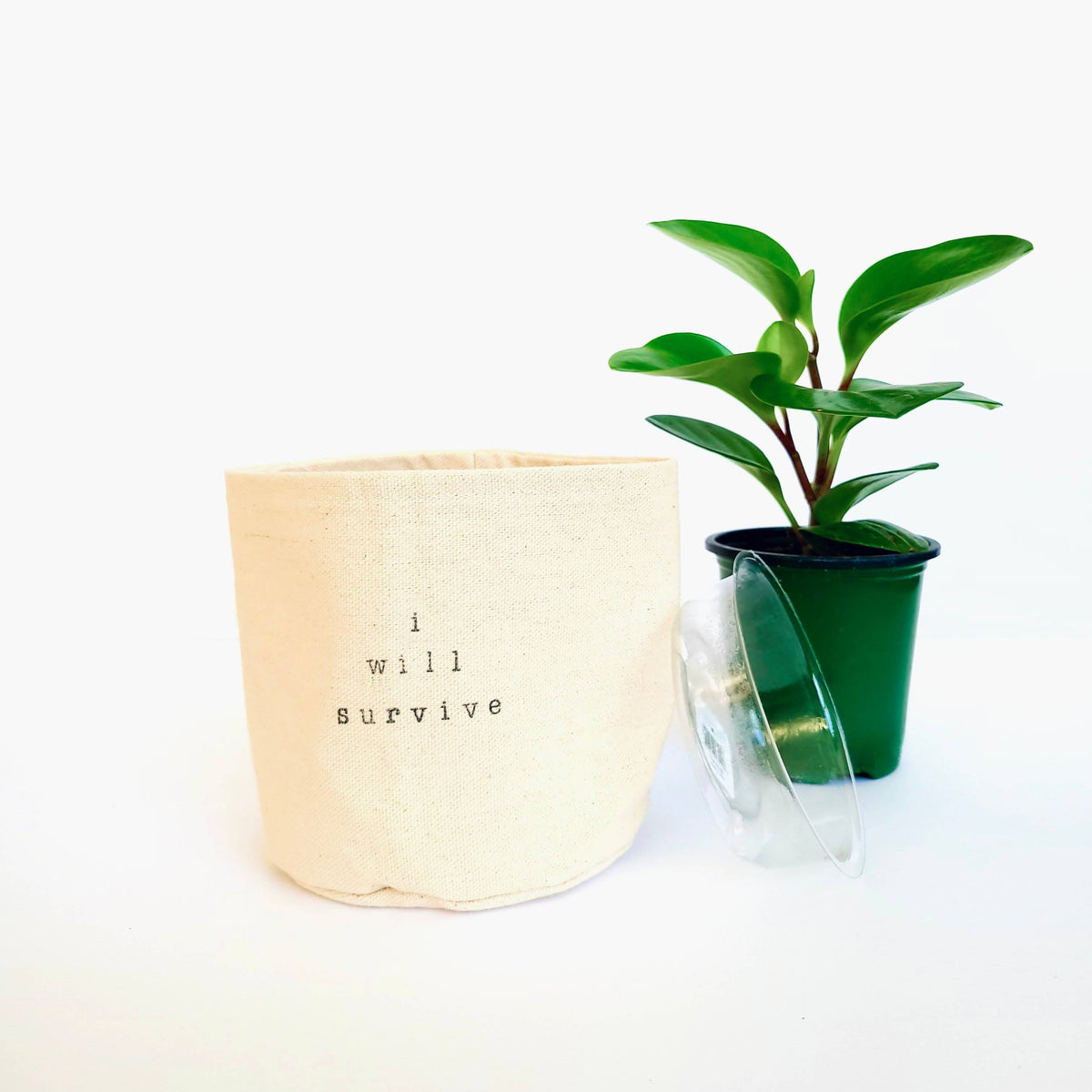 Big leaves Canvas Plant Pot Cover