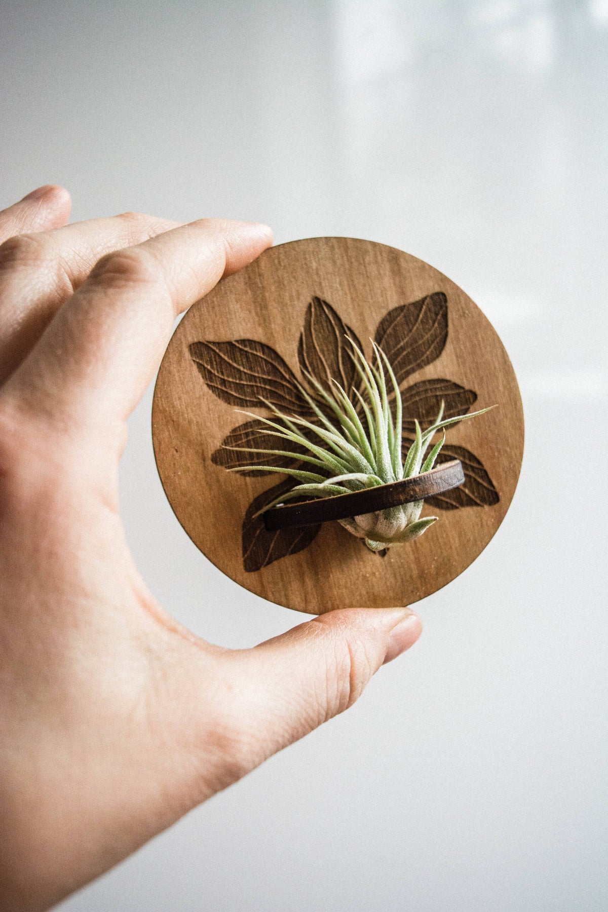 Art Deco Flower Airplant Holder Magnet Round