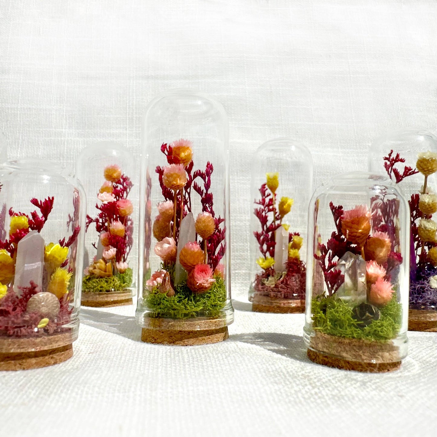 Crystal Fairy Garden Mix Mini Glass Cloche Terrariums
