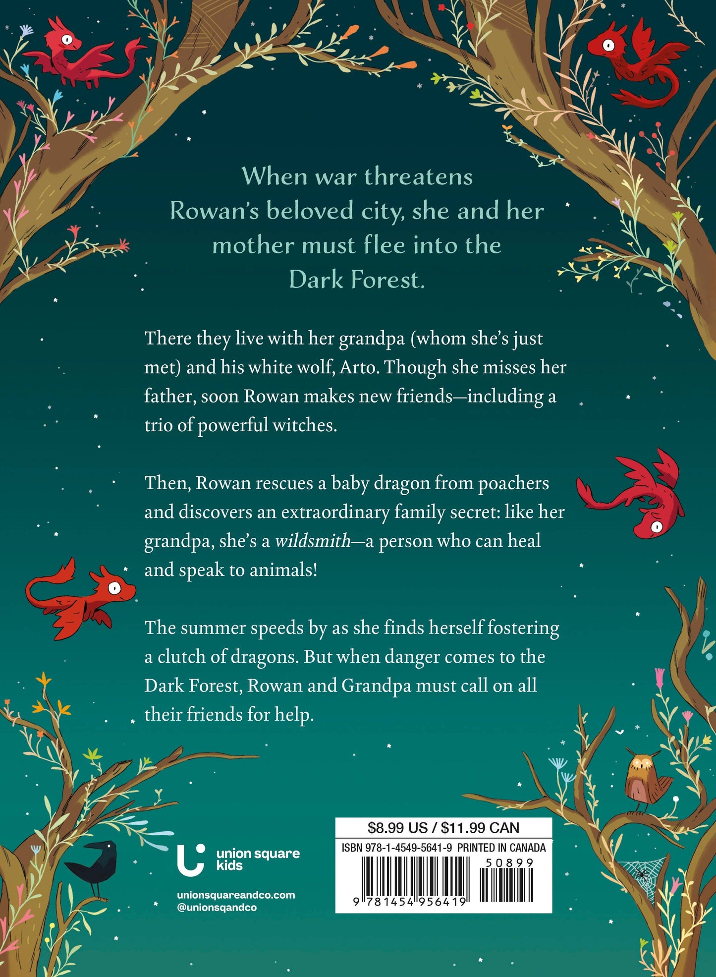 Wildsmith: Into the Dark Forest by Liz Flanagan