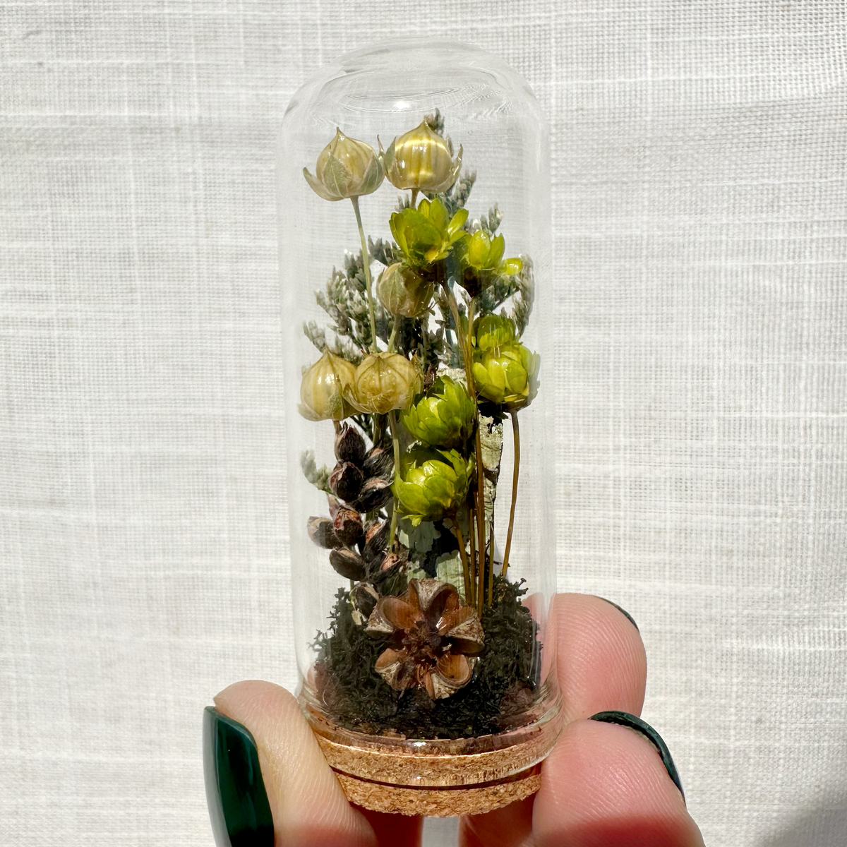 Haunted Forest Mini Terrarium Halloween Dried Floral Cloche