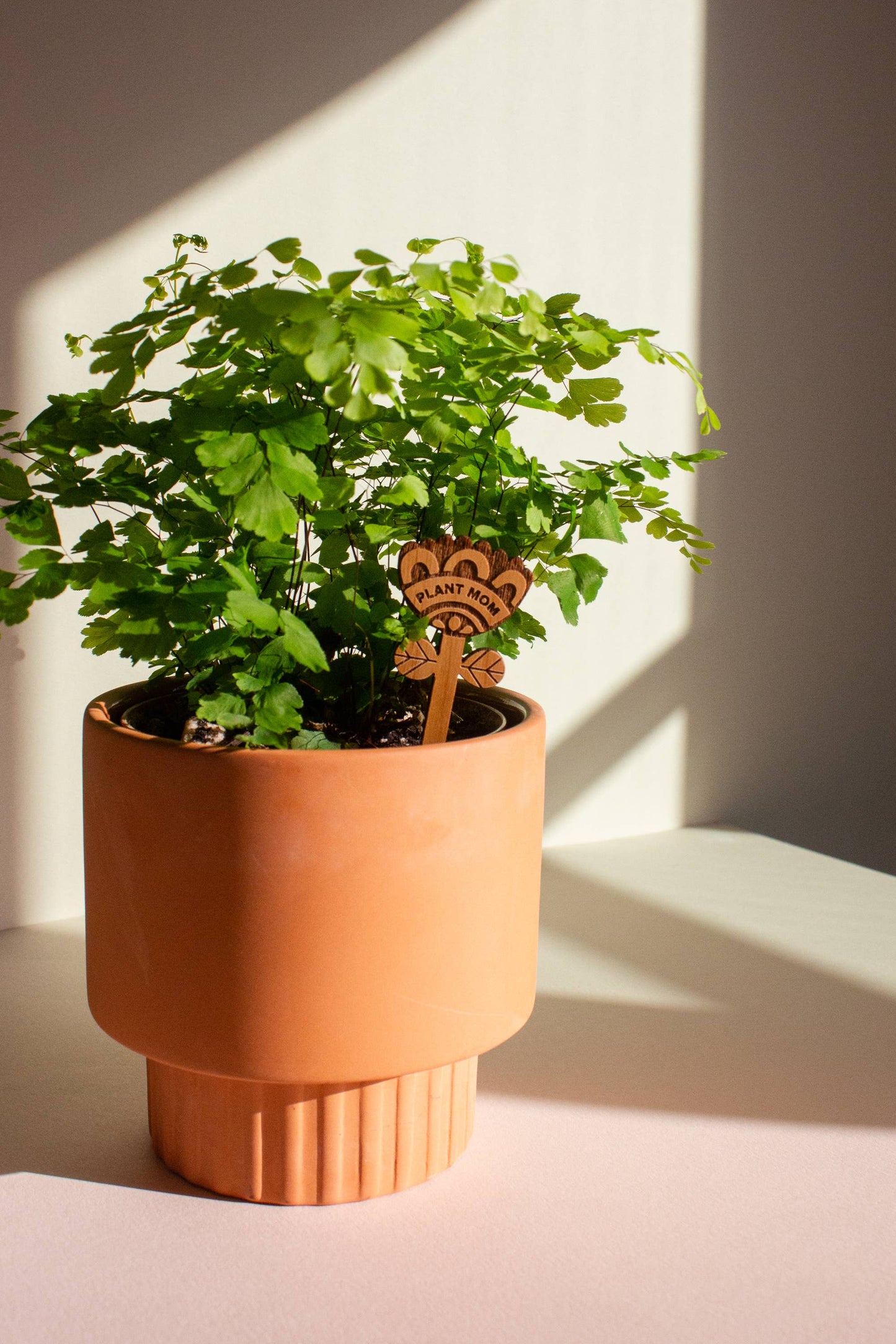 Plant Mom Flower Wood Plant Pick