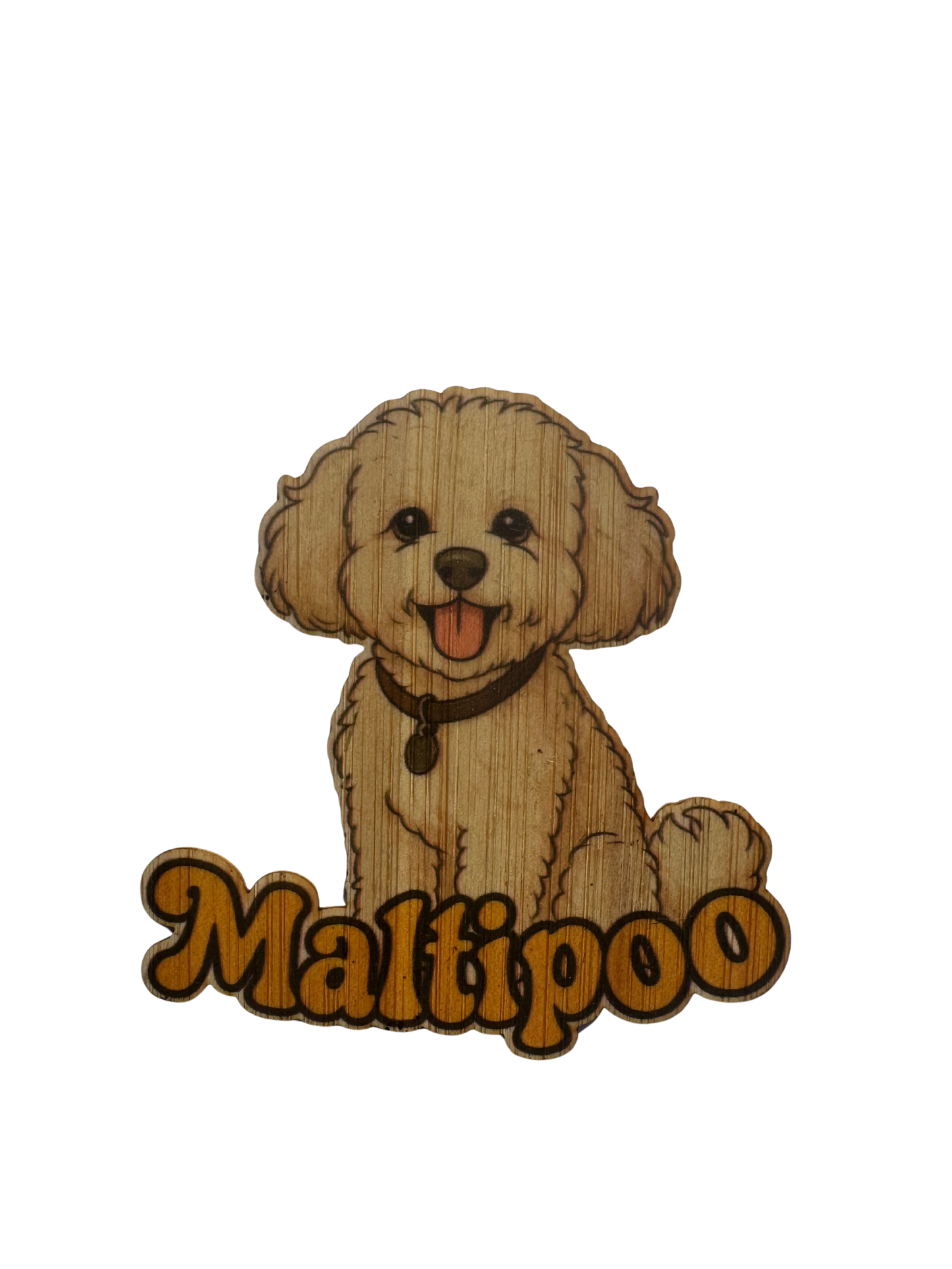 Maltipoo
