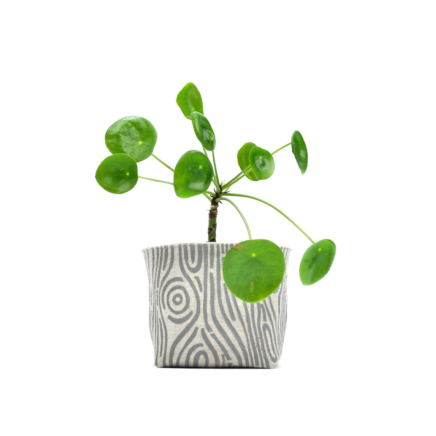 Woodgrain Blockprint Fabric Planter—4"
