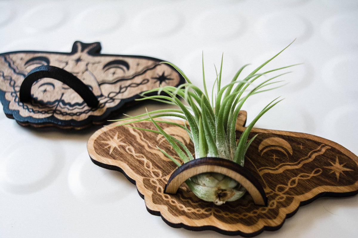 Lunar Moth Airplant Holder Wooden Magnet