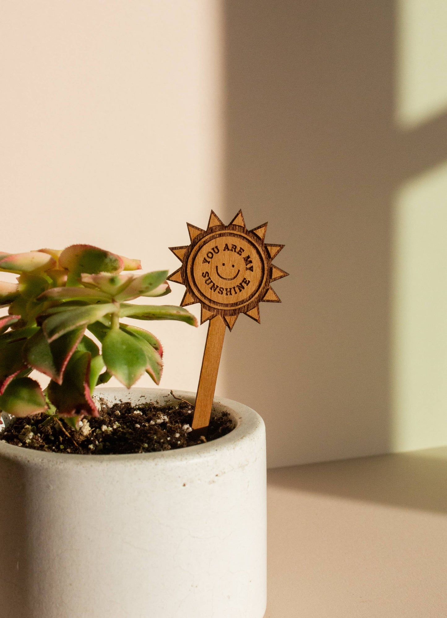 You Are My Sunshine Wood Plant Pick