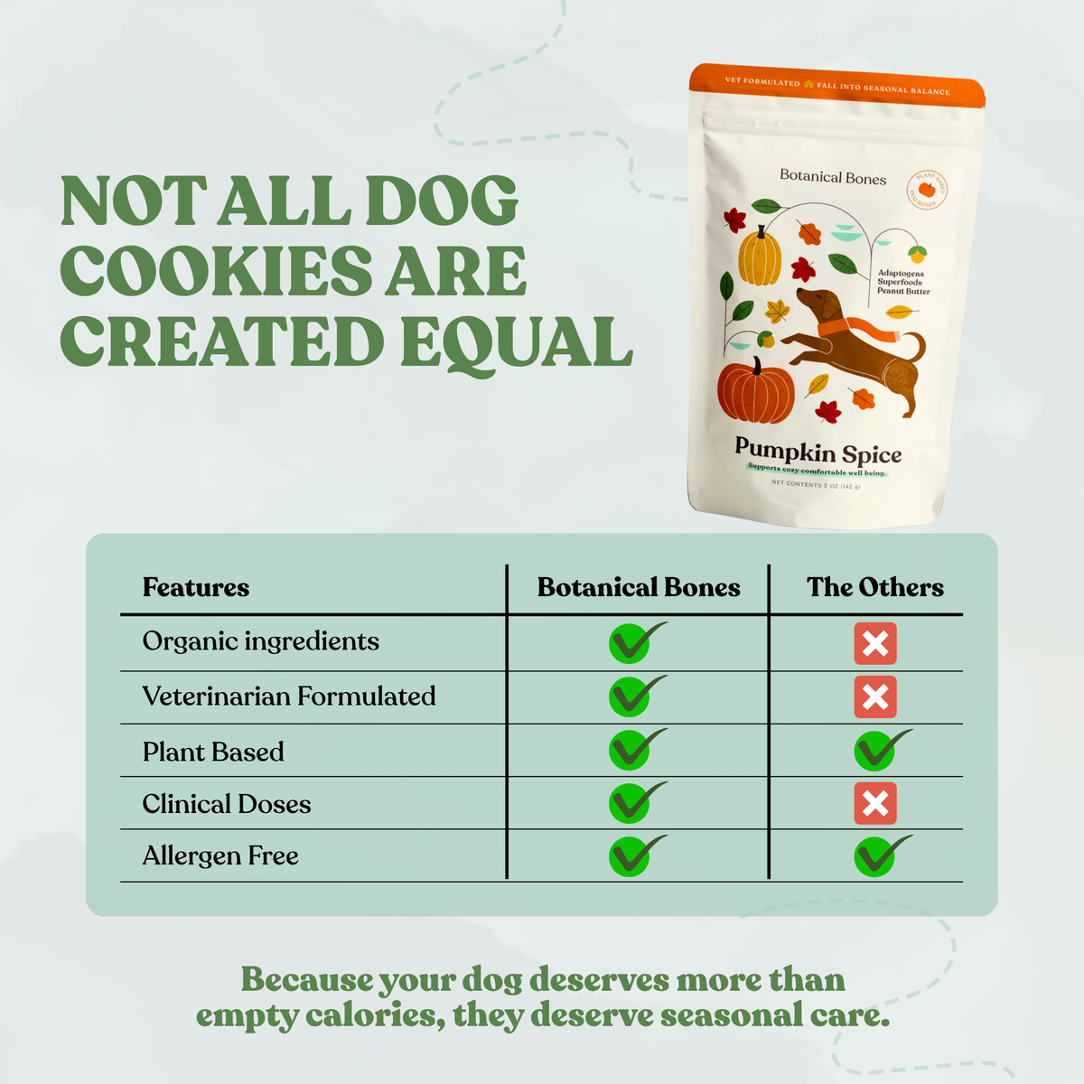 Pumpkin Spice Dog Treats 🎃  Fall, Autumn, Halloween
