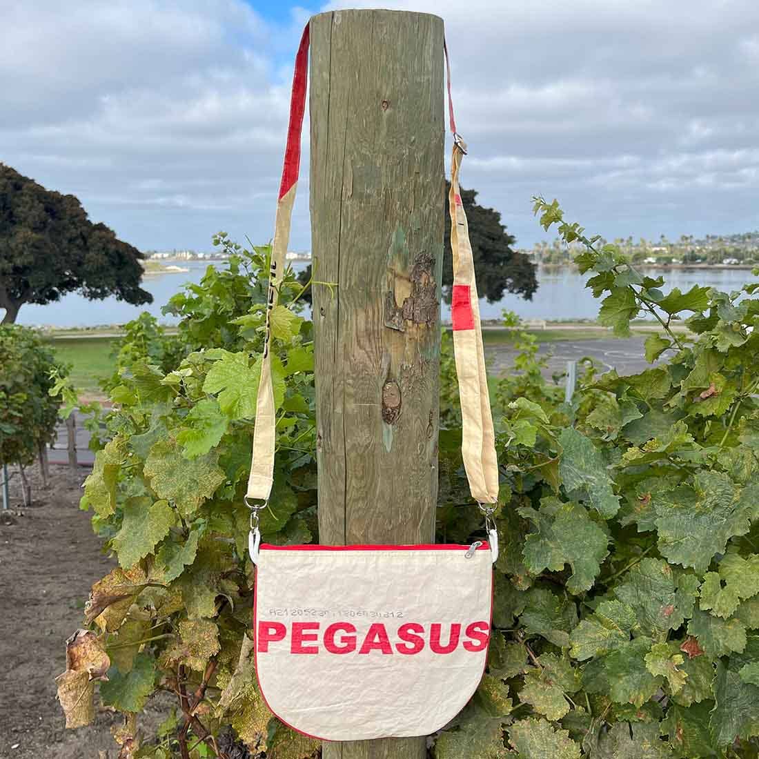Pegasus Cement Day Bag
